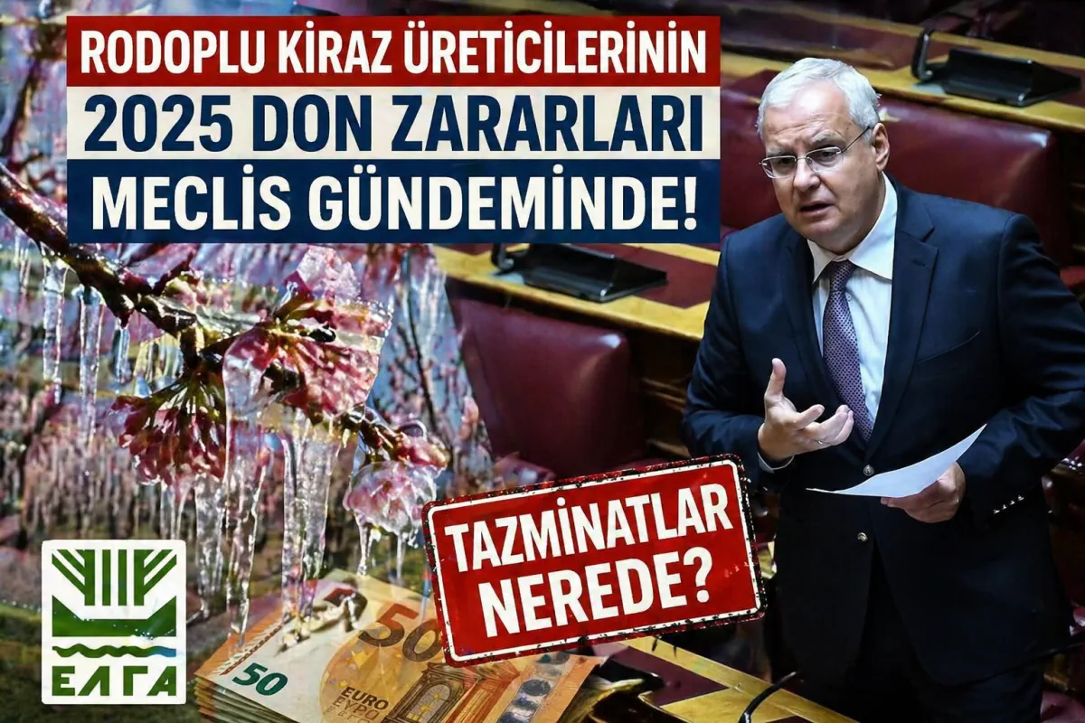 AB ACİL DESTEK PAKETİNDE YUNANİSTAN YOK MU?