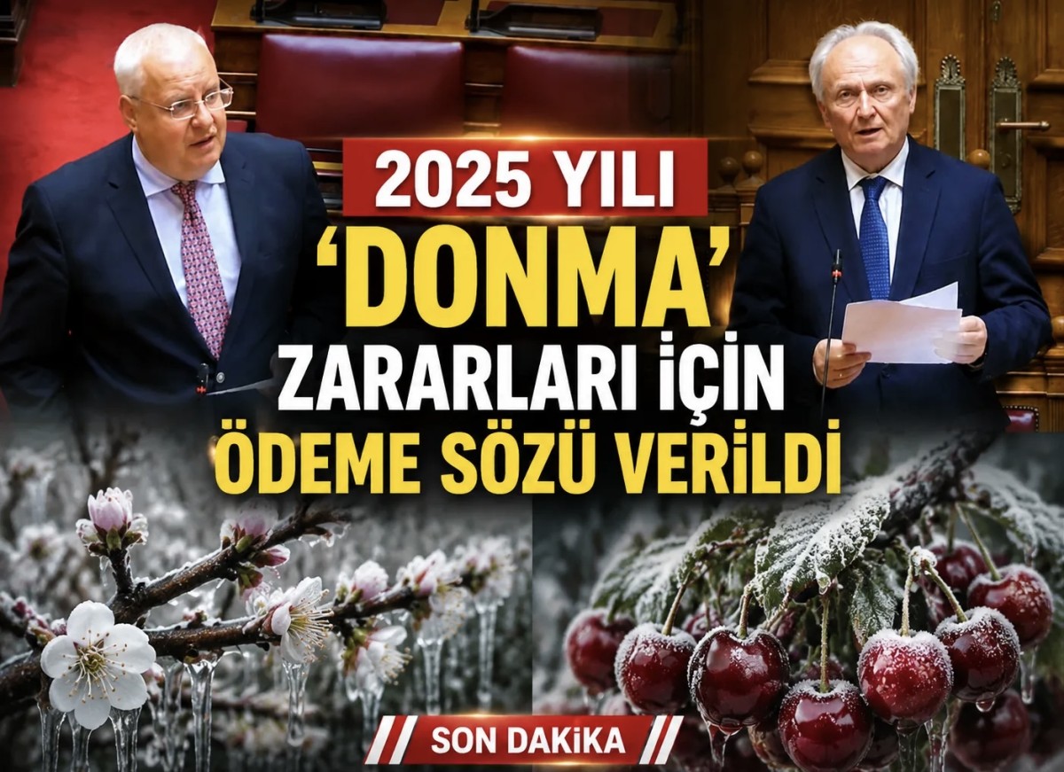 KİRAZ ÜRETİCİSİNE MÜJDE!